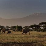 Viaje a Nairobi, guía de turismo Viaje a Nairobi, guía de turismo