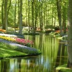 Holanda: los jardines del Keukenhof