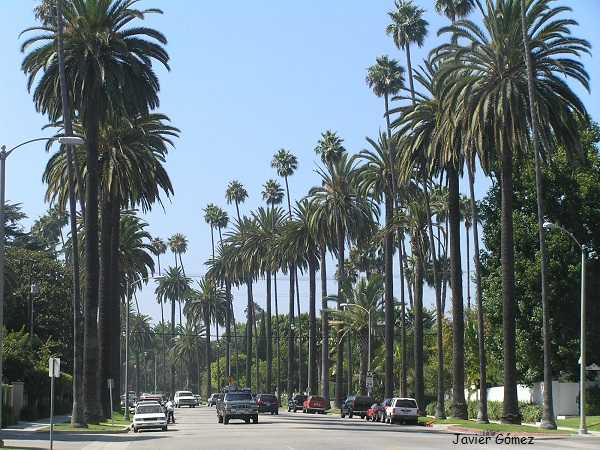 Guía de turismo de Los Ángeles 1 Turismo en Los Ángeles