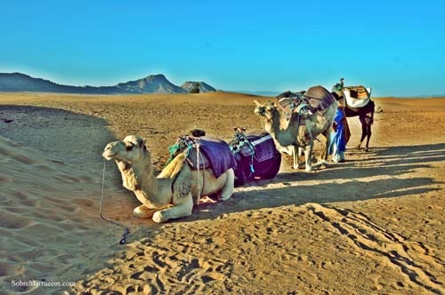 En directo desde Marruecos En directo desde Marruecos