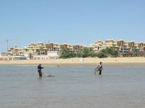 Isla Canela, pesca y naturaleza en la Costa de Huelva Isla Canela, pesca y naturaleza en la Costa de Huelva