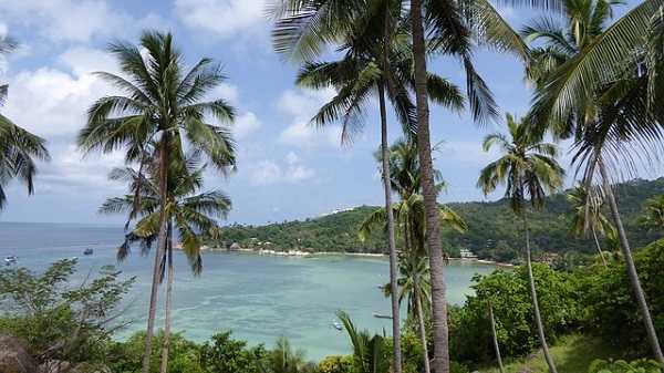 Seis lugares imprescindibles que visitar en Tailandia 4 koh Tao