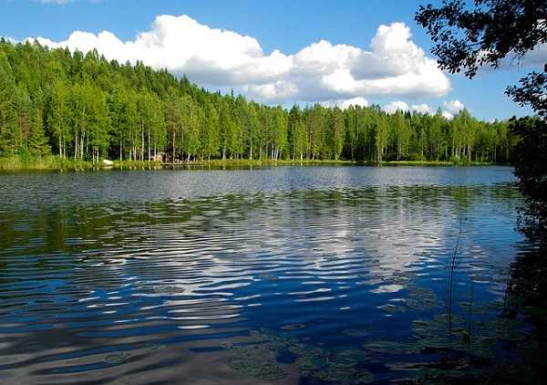 Naturaleza en Finlandia