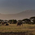 Viaje a Nairobi, guía de turismo