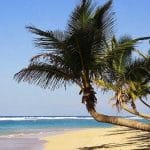 Viaje a Punta Cana, guía de turismo