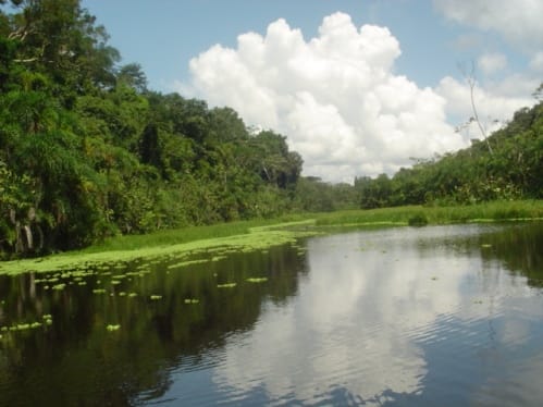 Iquitos, puerta de entrada al Amazonas