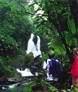 El Parque Nacional de Corcovado en Costa Rica