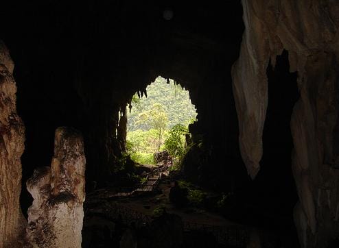 Cueva de las lechuzas en Tingo Maria