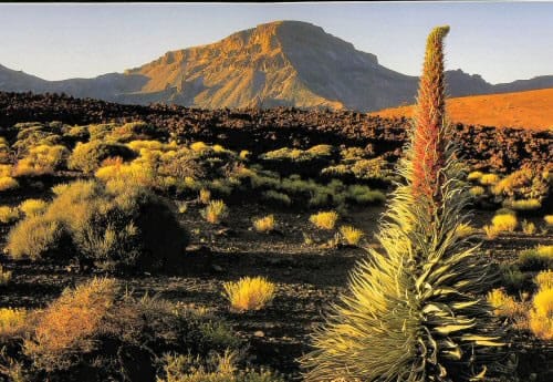 Tenerife, ideal para practicar senderismo Tenerife, ideal para practicar senderismo