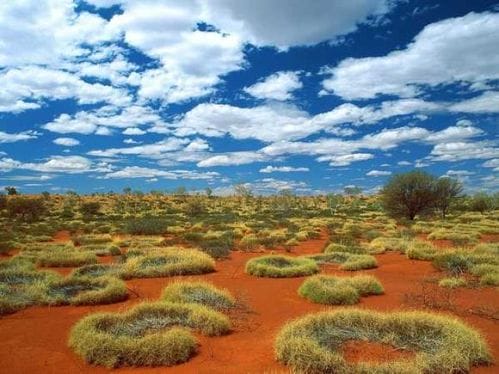 desierto australiano