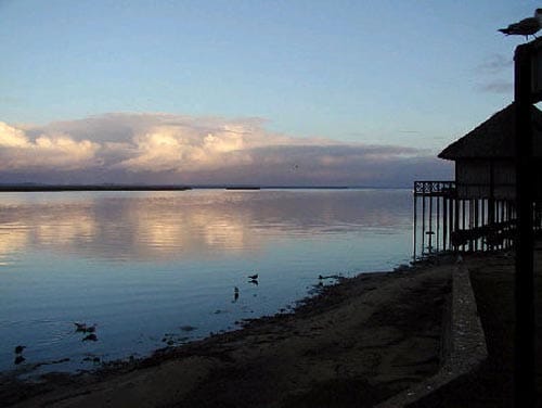 Parque Estuario Santa Lucía, en Sudáfrica Parque Estuario Santa Lucía, en Sudáfrica