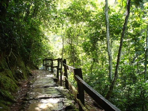 Visita al Parque Nacional Guatopo, en Venezuela