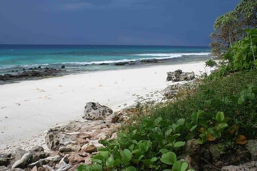 Isla Aride, una reserva natural en las Seychelles