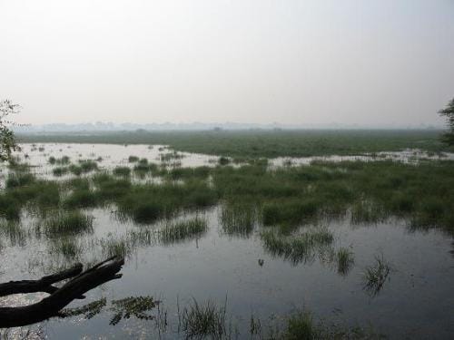 El Parque Nacional Keoladeo, en la India