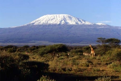 Conociendo el Parque Nacional del Kilimanjaro Conociendo el Parque Nacional del Kilimanjaro