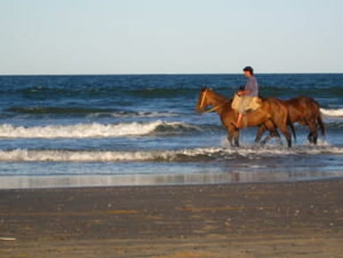 Paseando a caballo por la playa