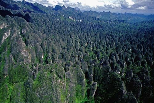 Bosque de roca de Mangkalihat Bosque de roca de Mangkalihat