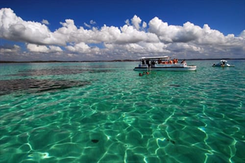 Maragogi, corales en el nordeste de Brasil Maragogi, corales en el nordeste de Brasil
