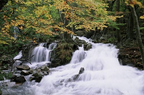 Montseny, Reserva de la Biosfera en España