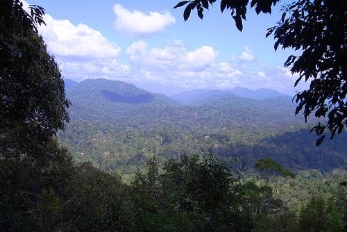 El Parque Nacional Taman Negara, en Malasia