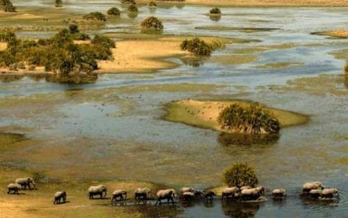 Delta del rio Okavango