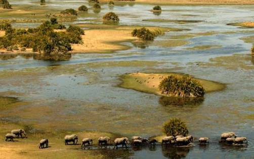La ruta del Okavango, de Miguel Martín