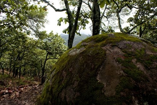 Ecoturismo en las Piedras Bola, en México