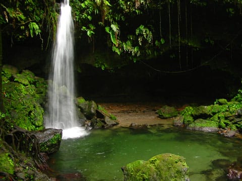 El Parque Natural de Morne Trois Pitons en Dominica
