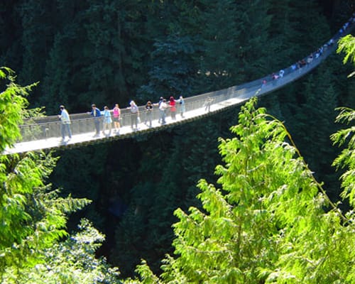 El Puente Capilano, atracción en Vancouver El Puente Capilano, atracción en Vancouver