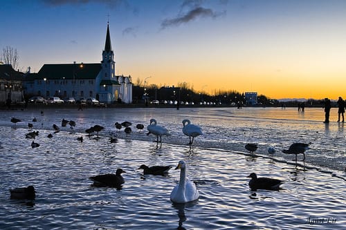 Viaje a Reykjavik, guía de turismo Viaje a Reykjavik, guía de turismo