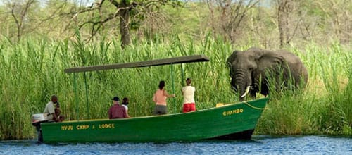 safari-en-malaui