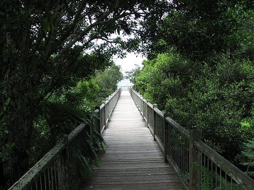 El Parque Nacional de Dorigo, en Australia
