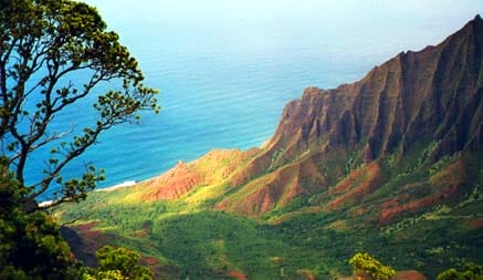 Isla del Coco y Kauai, el Parque Jurasico original
